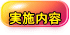 実施内容